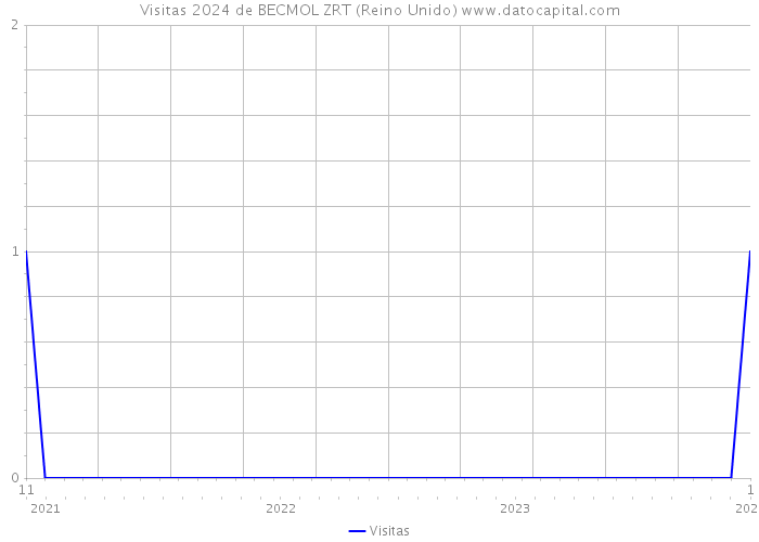 Visitas 2024 de BECMOL ZRT (Reino Unido) 