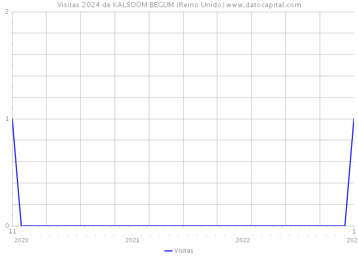 Visitas 2024 de KALSOOM BEGUM (Reino Unido) 