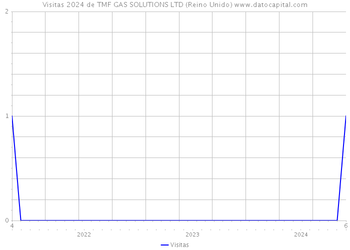 Visitas 2024 de TMF GAS SOLUTIONS LTD (Reino Unido) 