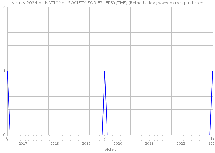 Visitas 2024 de NATIONAL SOCIETY FOR EPILEPSY(THE) (Reino Unido) 