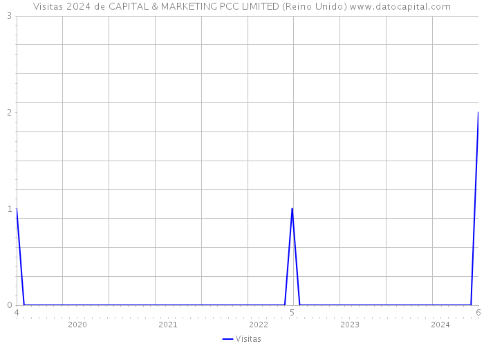 Visitas 2024 de CAPITAL & MARKETING PCC LIMITED (Reino Unido) 