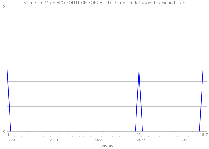 Visitas 2024 de ECO SOLUTION FORGE LTD (Reino Unido) 