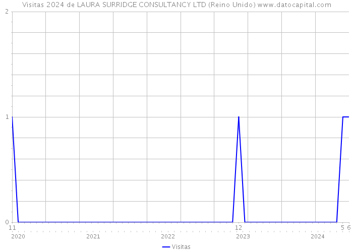 Visitas 2024 de LAURA SURRIDGE CONSULTANCY LTD (Reino Unido) 