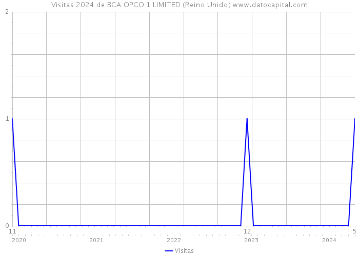 Visitas 2024 de BCA OPCO 1 LIMITED (Reino Unido) 
