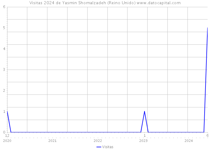 Visitas 2024 de Yasmin Shomalzadeh (Reino Unido) 
