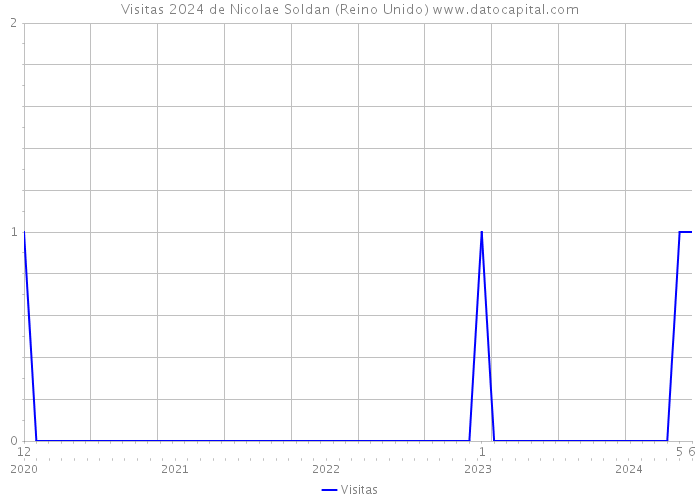 Visitas 2024 de Nicolae Soldan (Reino Unido) 