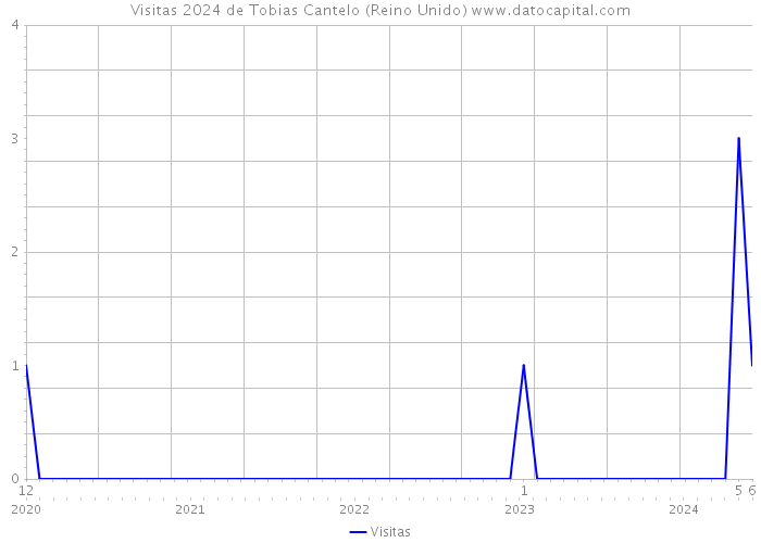 Visitas 2024 de Tobias Cantelo (Reino Unido) 