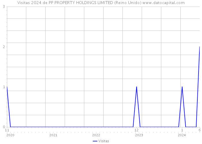 Visitas 2024 de PP PROPERTY HOLDINGS LIMITED (Reino Unido) 