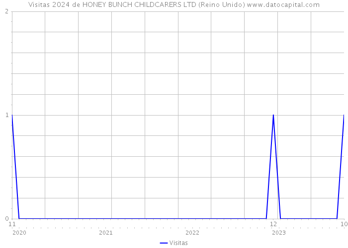 Visitas 2024 de HONEY BUNCH CHILDCARERS LTD (Reino Unido) 