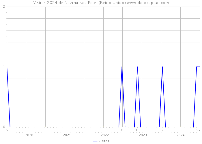 Visitas 2024 de Nazma Naz Patel (Reino Unido) 