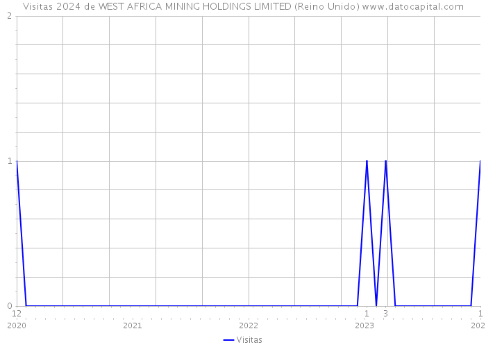 Visitas 2024 de WEST AFRICA MINING HOLDINGS LIMITED (Reino Unido) 