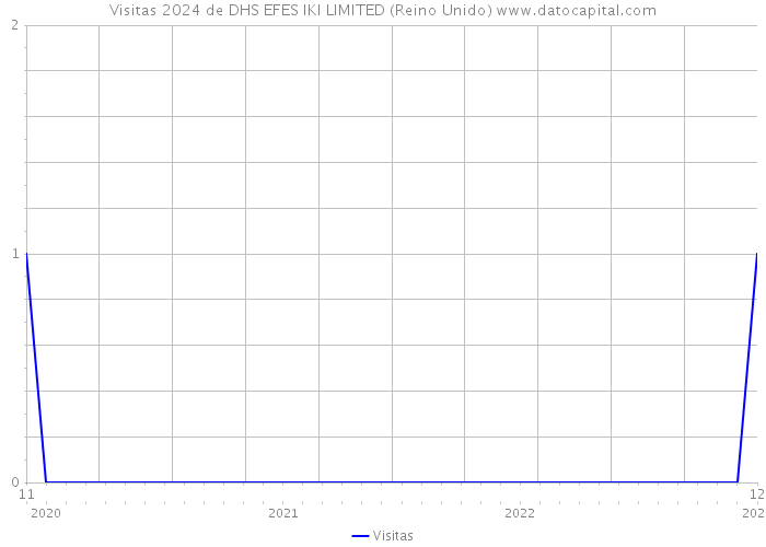 Visitas 2024 de DHS EFES IKI LIMITED (Reino Unido) 