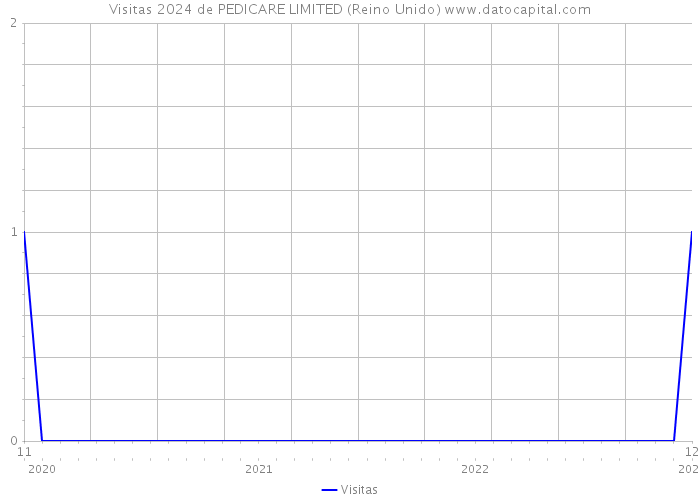 Visitas 2024 de PEDICARE LIMITED (Reino Unido) 