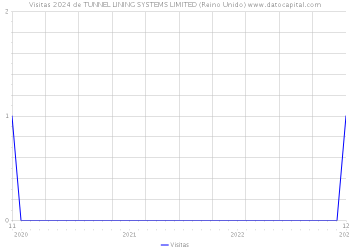 Visitas 2024 de TUNNEL LINING SYSTEMS LIMITED (Reino Unido) 
