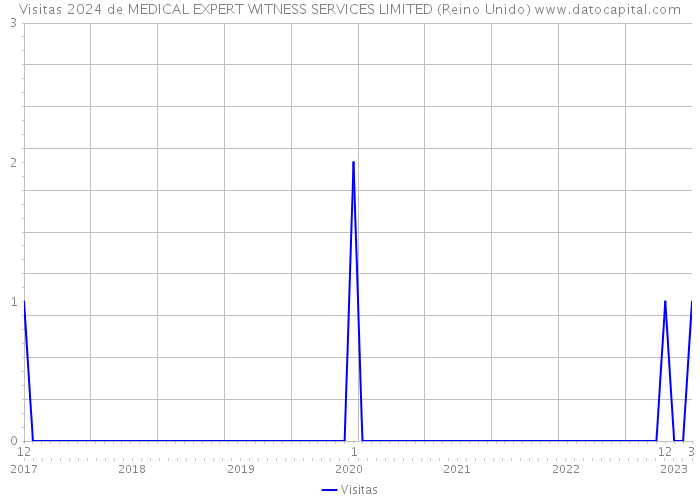 Visitas 2024 de MEDICAL EXPERT WITNESS SERVICES LIMITED (Reino Unido) 