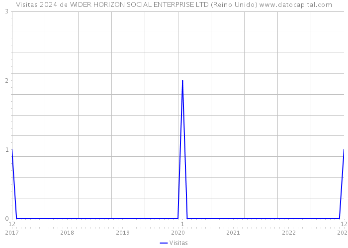 Visitas 2024 de WIDER HORIZON SOCIAL ENTERPRISE LTD (Reino Unido) 