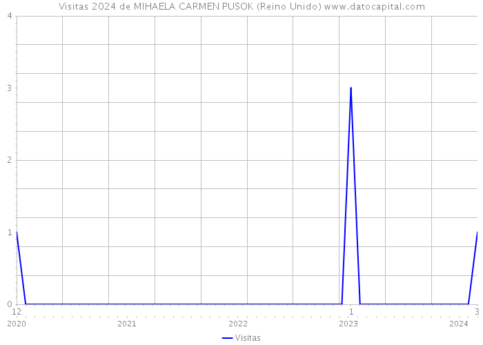 Visitas 2024 de MIHAELA CARMEN PUSOK (Reino Unido) 