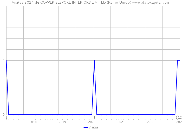 Visitas 2024 de COPPER BESPOKE INTERIORS LIMITED (Reino Unido) 