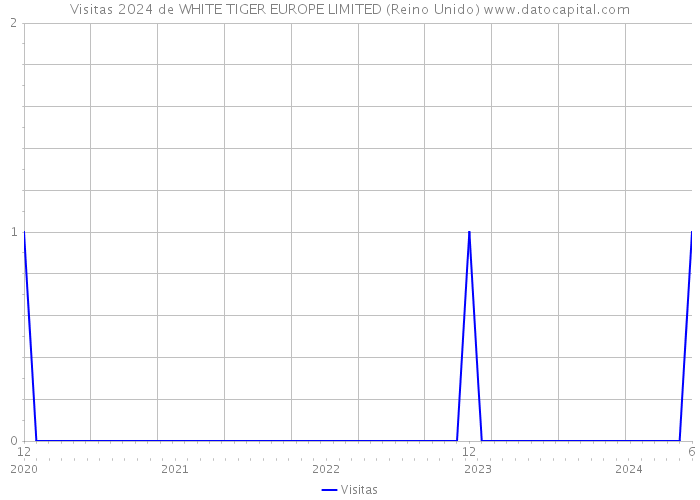 Visitas 2024 de WHITE TIGER EUROPE LIMITED (Reino Unido) 