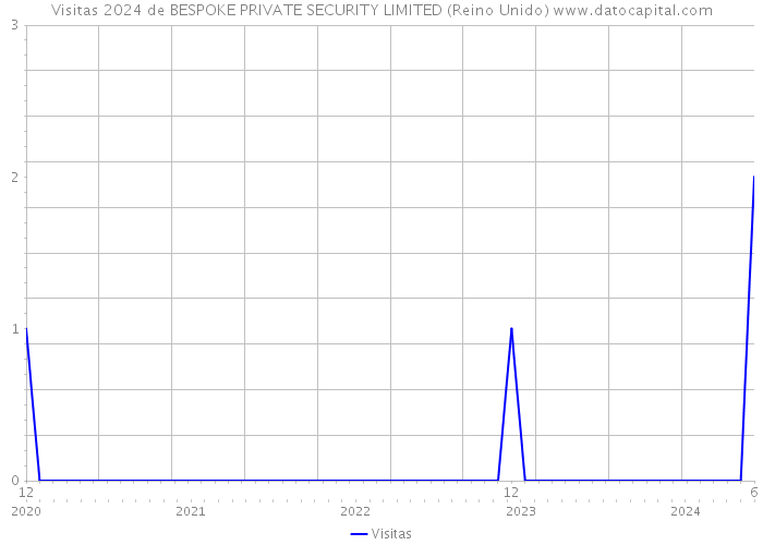 Visitas 2024 de BESPOKE PRIVATE SECURITY LIMITED (Reino Unido) 