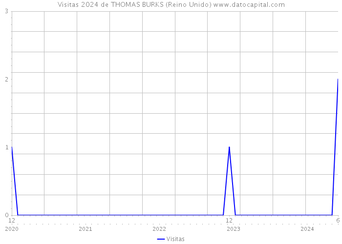 Visitas 2024 de THOMAS BURKS (Reino Unido) 