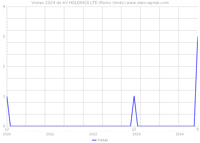 Visitas 2024 de AV HOLDINGS LTD (Reino Unido) 