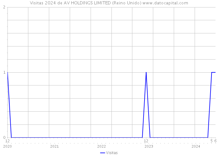 Visitas 2024 de AV HOLDINGS LIMITED (Reino Unido) 