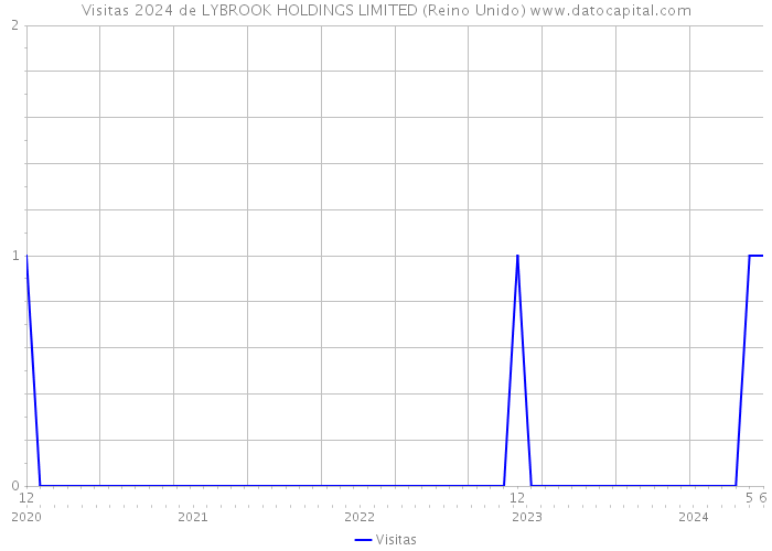 Visitas 2024 de LYBROOK HOLDINGS LIMITED (Reino Unido) 