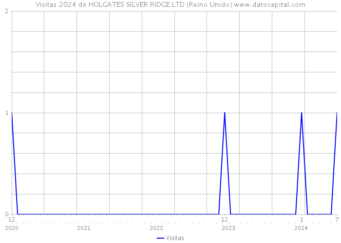 Visitas 2024 de HOLGATES SILVER RIDGE LTD (Reino Unido) 