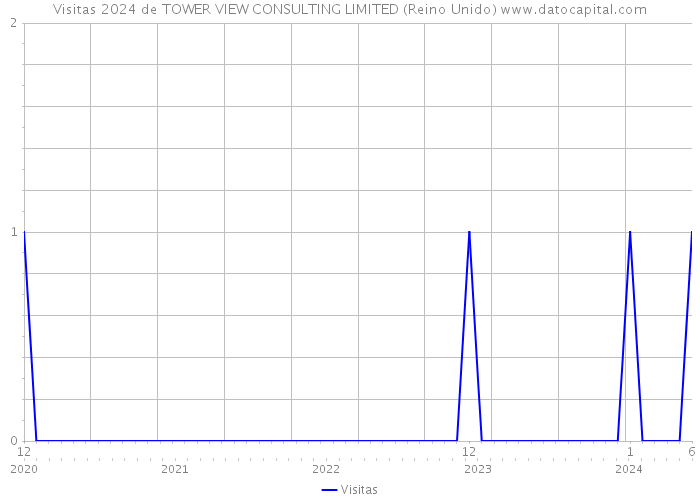 Visitas 2024 de TOWER VIEW CONSULTING LIMITED (Reino Unido) 