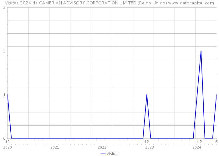 Visitas 2024 de CAMBRIAN ADVISORY CORPORATION LIMITED (Reino Unido) 