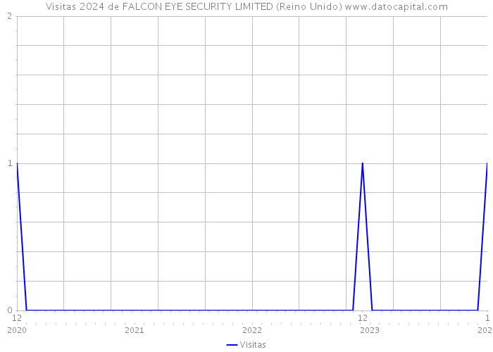 Visitas 2024 de FALCON EYE SECURITY LIMITED (Reino Unido) 