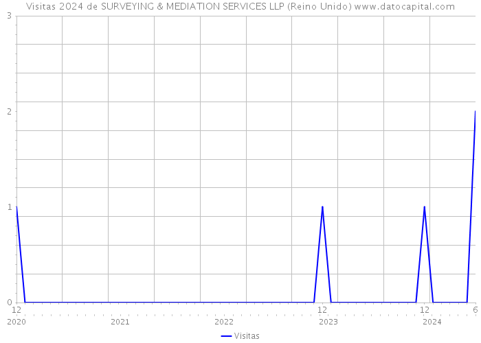 Visitas 2024 de SURVEYING & MEDIATION SERVICES LLP (Reino Unido) 