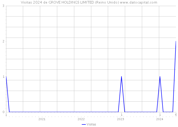 Visitas 2024 de GROVE HOLDINGS LIMITED (Reino Unido) 