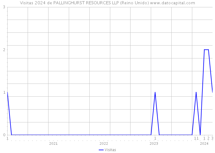 Visitas 2024 de PALLINGHURST RESOURCES LLP (Reino Unido) 