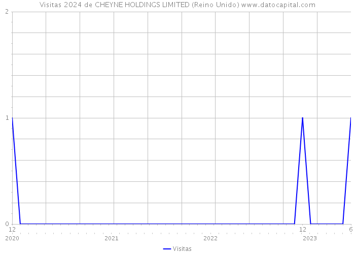 Visitas 2024 de CHEYNE HOLDINGS LIMITED (Reino Unido) 