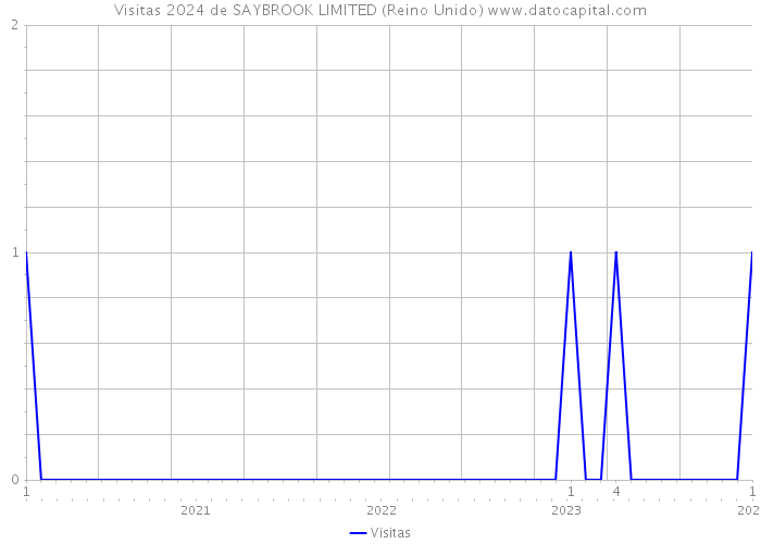 Visitas 2024 de SAYBROOK LIMITED (Reino Unido) 