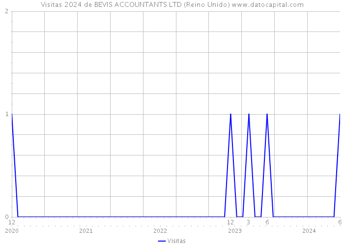 Visitas 2024 de BEVIS ACCOUNTANTS LTD (Reino Unido) 