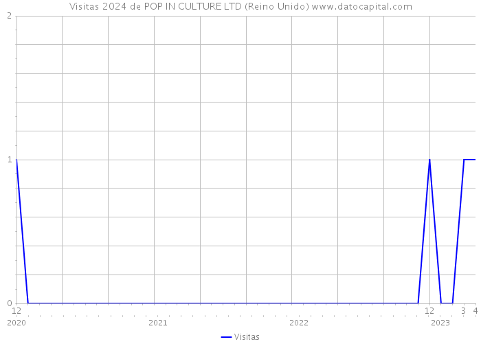 Visitas 2024 de POP IN CULTURE LTD (Reino Unido) 