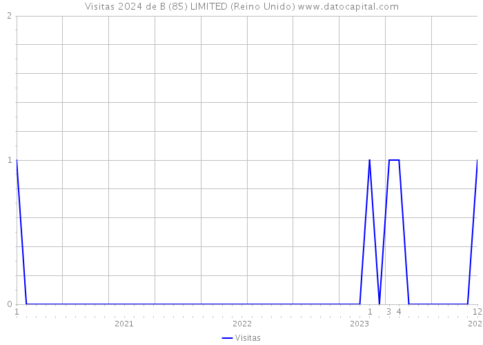 Visitas 2024 de B (85) LIMITED (Reino Unido) 