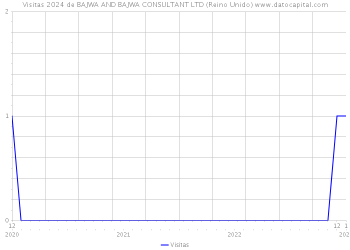 Visitas 2024 de BAJWA AND BAJWA CONSULTANT LTD (Reino Unido) 