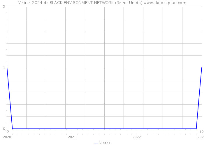 Visitas 2024 de BLACK ENVIRONMENT NETWORK (Reino Unido) 