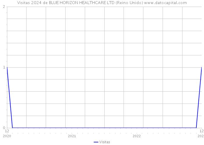 Visitas 2024 de BLUE HORIZON HEALTHCARE LTD (Reino Unido) 