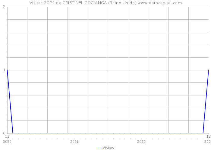 Visitas 2024 de CRISTINEL COCIANGA (Reino Unido) 