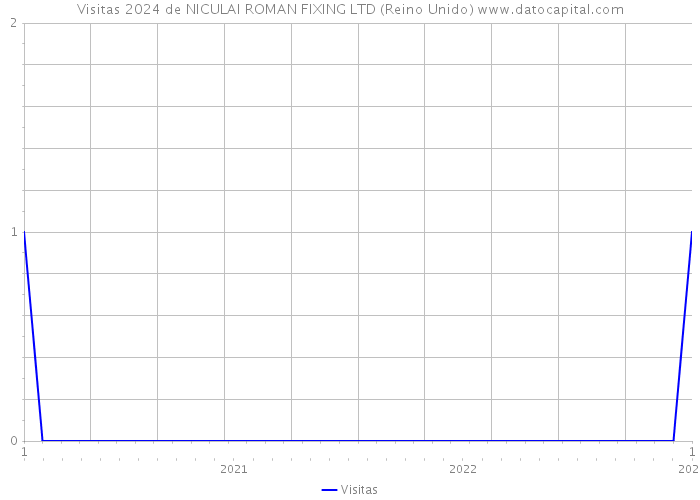 Visitas 2024 de NICULAI ROMAN FIXING LTD (Reino Unido) 