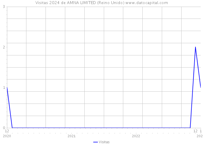 Visitas 2024 de AMNA LIMITED (Reino Unido) 