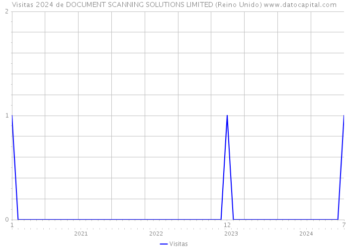 Visitas 2024 de DOCUMENT SCANNING SOLUTIONS LIMITED (Reino Unido) 