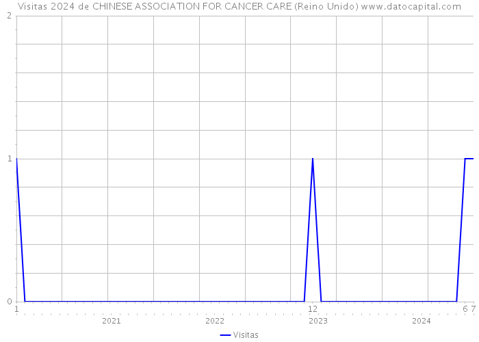 Visitas 2024 de CHINESE ASSOCIATION FOR CANCER CARE (Reino Unido) 