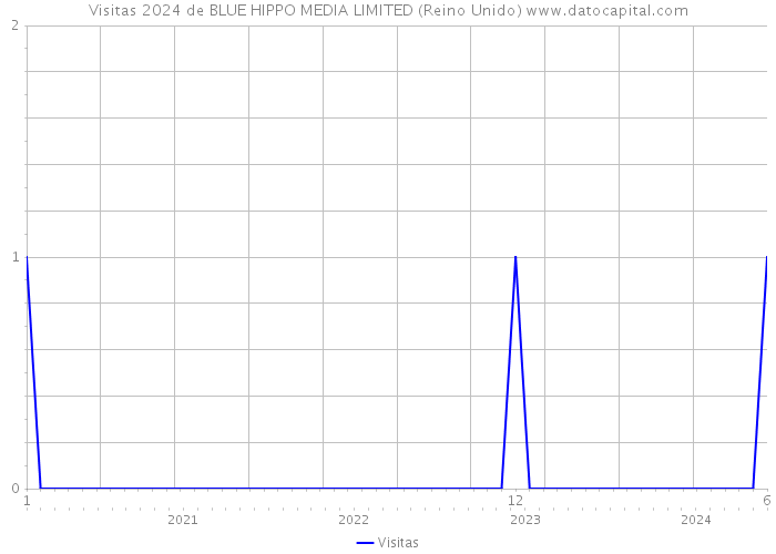 Visitas 2024 de BLUE HIPPO MEDIA LIMITED (Reino Unido) 