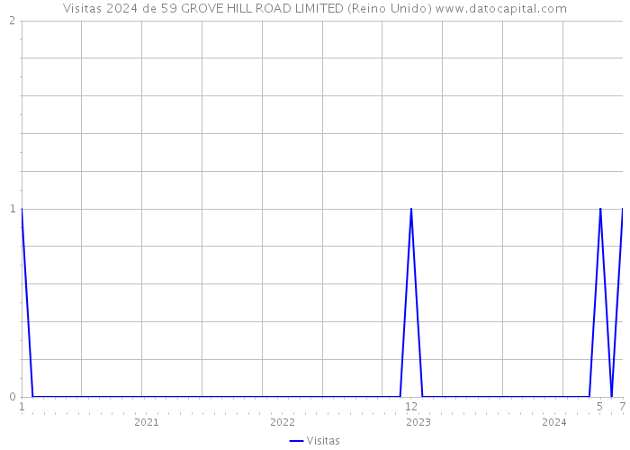 Visitas 2024 de 59 GROVE HILL ROAD LIMITED (Reino Unido) 